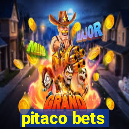 pitaco bets